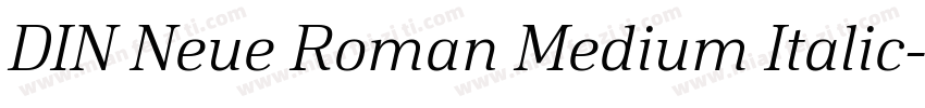 DIN Neue Roman Medium Italic字体转换